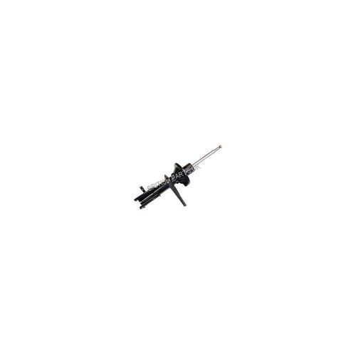 Shock Absorber RSC500070