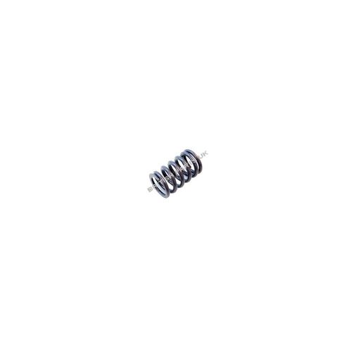 Valve Spring ERR4628