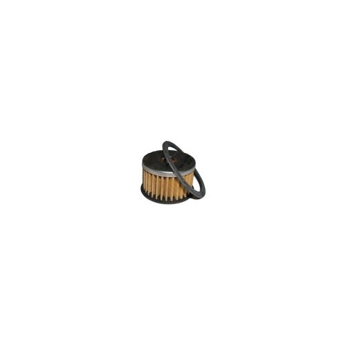 Fuel Filter C28080