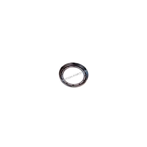 Fuel Pump Locking Ring ESR3808