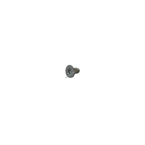 Brake Disc Screw SYP100241