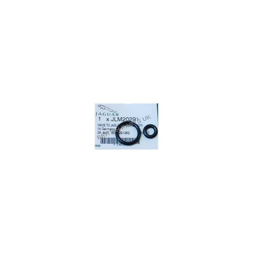 Fuel Injector O Ring Kit JLM20291G