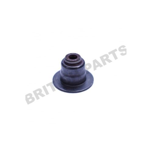 Valve Stem Seal & Platform AJ813623