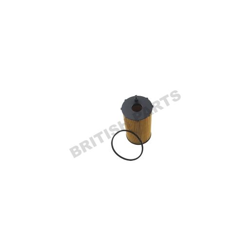 Oil Filter Diesel 1311289R