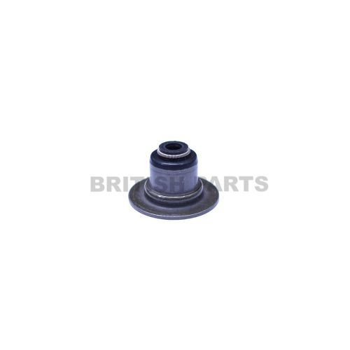 Valve Seal NCE2528AC