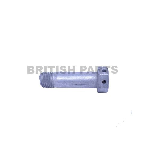 Brake Caliper Bolt C30251G