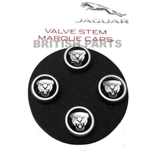 Tyre Valve Dust Caps C2D54161G