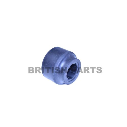 Bush Radius Arm ANR6971