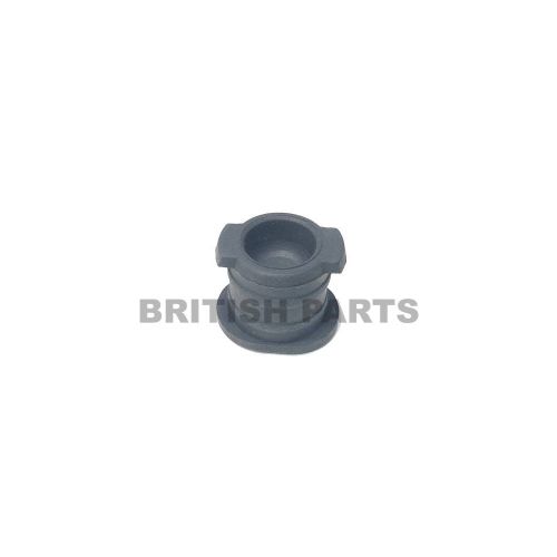 Timing Chain Adjuster Plug C37925