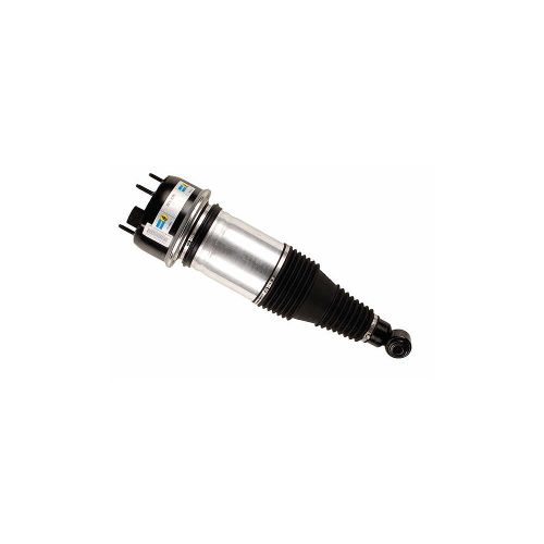 Air Spring & Shock Absorber 44-240578