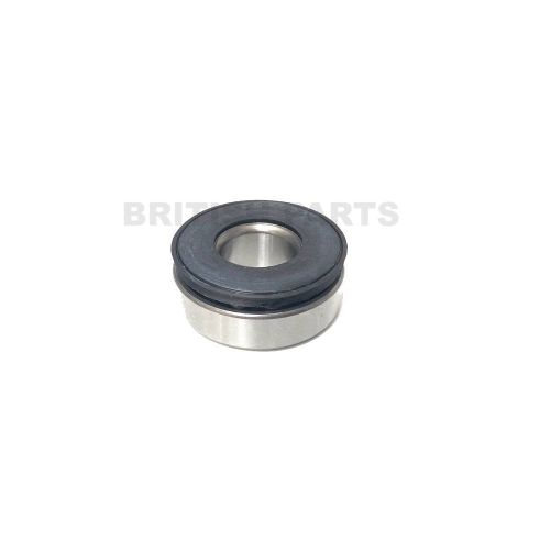 Hub Pivot Bearing CAC4610