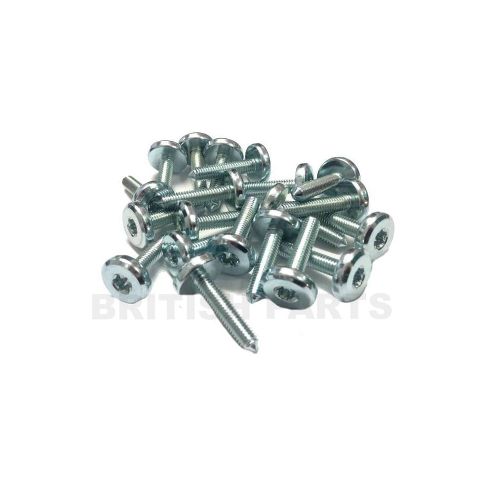 Transmission Filter Screw Kit BPK246