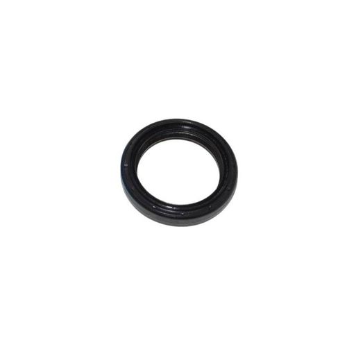 Oil Seal Pinion FTC4851