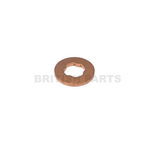 Fuel Injector Washer LR032155