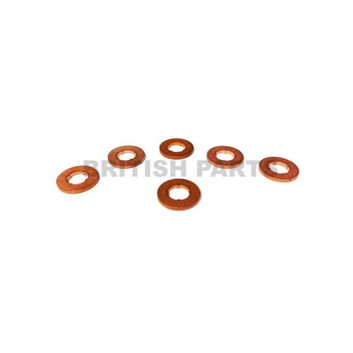 Fuel Injector Washer Kit BPK469