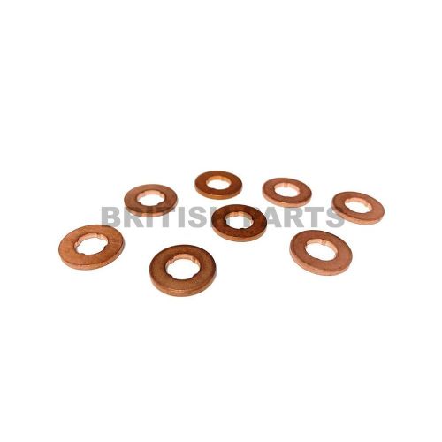 Fuel Injector Washer Kit BPK470