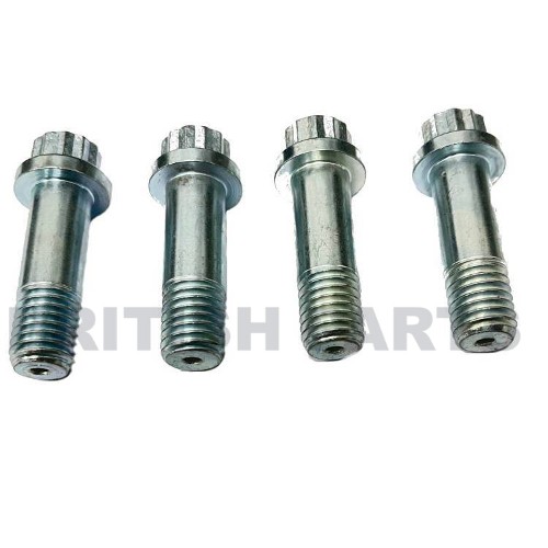 Brake Caliper Bolt Kit BPK519