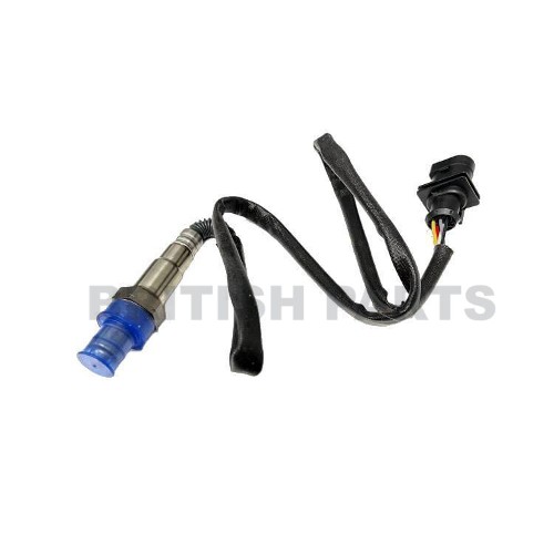 Oxygen Sensor BPC256