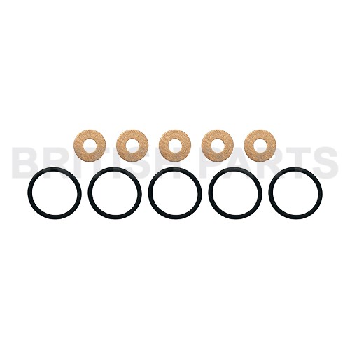 Fuel Injector Seal Kit BPK102