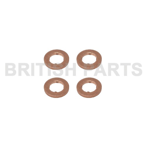 Fuel Injector Washer Kit