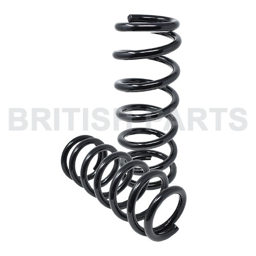 Spring-Rear Spring Kit JLM12257