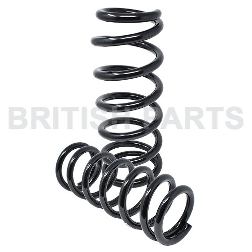 Spring-Rear Spring Kit JLM11422