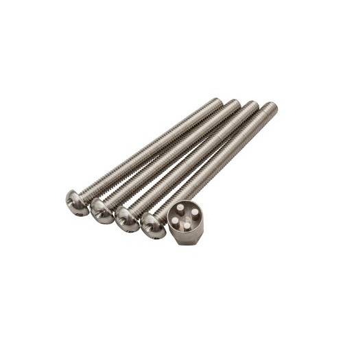 Tamper-Proof Bolt Set M10x110 DA7333