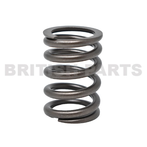 Valve Spring Diesel ERR4640X