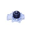 Water Pump C2S43292