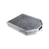 Pollen Filter C2P2410