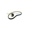 Kit Timing Belt & Tensioner C2C24601