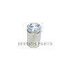 Caliper Piston BPC167